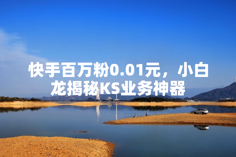 快手百万粉0.01元，小白龙揭秘KS业务神器