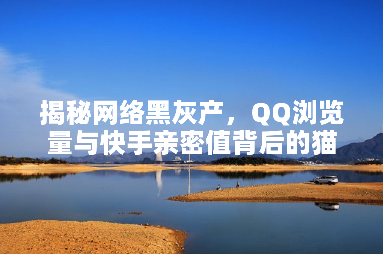 揭秘网络黑灰产，QQ浏览量与快手亲密值背后的猫腻