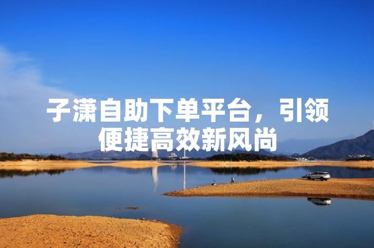子潇自助下单平台，引领便捷高效新风尚