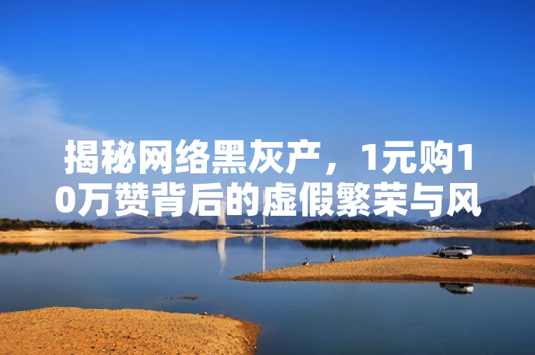 揭秘网络黑灰产，1元购10万赞背后的虚假繁荣与风险，揭示了一种不正当的网上服务，即以极低的价格提供大量的虚假社交媒体互动（如点赞和访问量），这不仅违反了社交媒体平台的使用准则，也破坏了网络环境的真实性和公平性。同时，该服务还涉及到网络安全和个人隐私的风险。