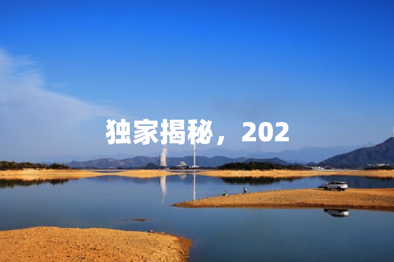 独家揭秘，2025年必学技巧！dy自定义评论下单助你提升网站排名