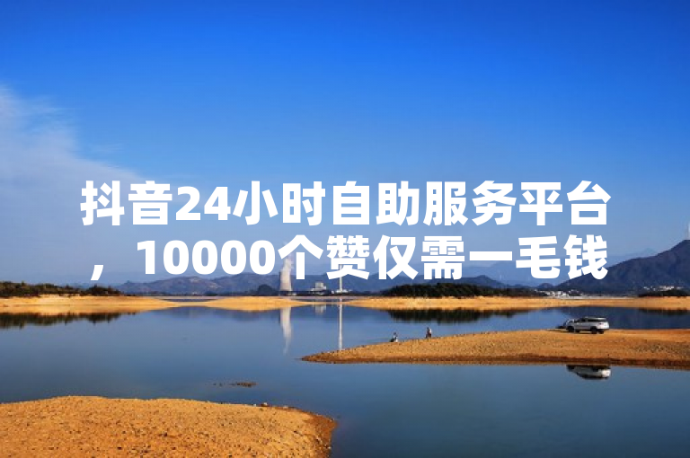 抖音24小时自助服务平台，10000个赞仅需一毛钱