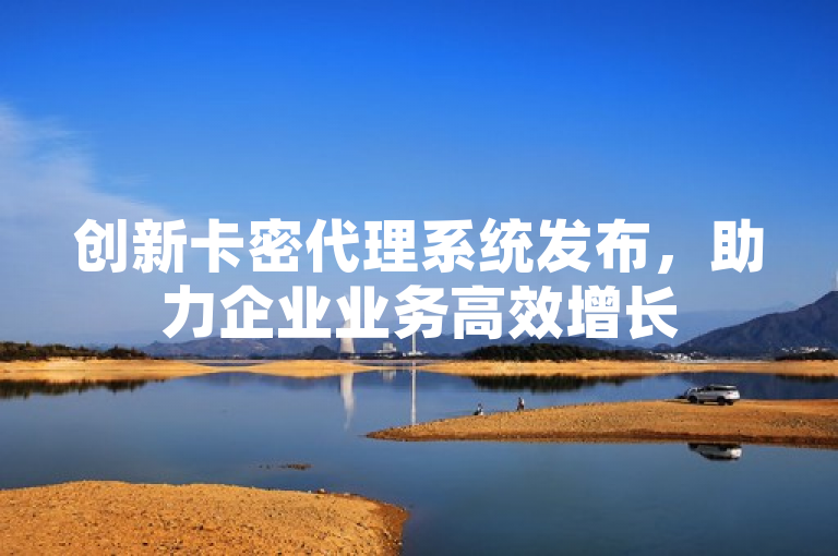 创新卡密代理系统发布，助力企业业务高效增长