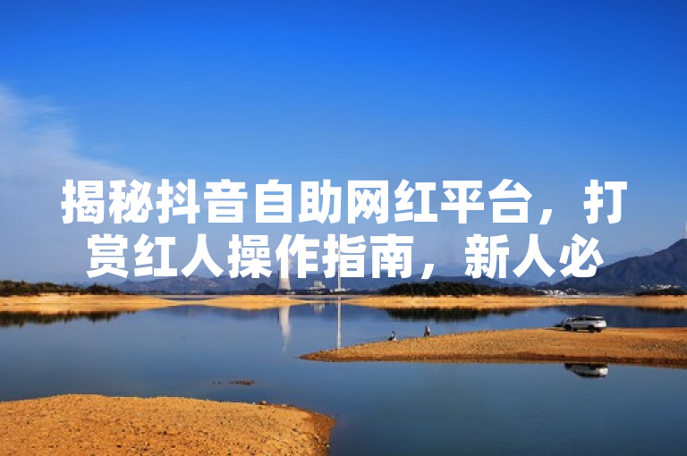 揭秘抖音自助网红平台，打赏红人操作指南，新人必备攻略！，简洁明了地概括了新闻的主要内容，既提到了抖音自助网红平台这一核心主题，又突出了打赏红人操作指南这一关键点，同时新人必备攻略也增加了文章的吸引力和实用性。