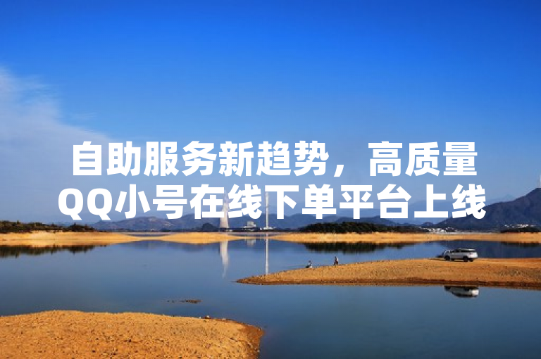 自助服务新趋势，高质量QQ小号在线下单平台上线