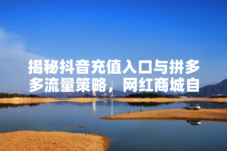 揭秘抖音充值入口与拼多多流量策略，网红商城自助下单网址全解析，旨在吸引对抖音充值、拼多多运营及网红商城感兴趣的读者。通过结合抖音充值入口、拼多多流量提升策略以及网红商城自助下单网址的相关信息，为读者提供一站式了解这些热门话题的机会。