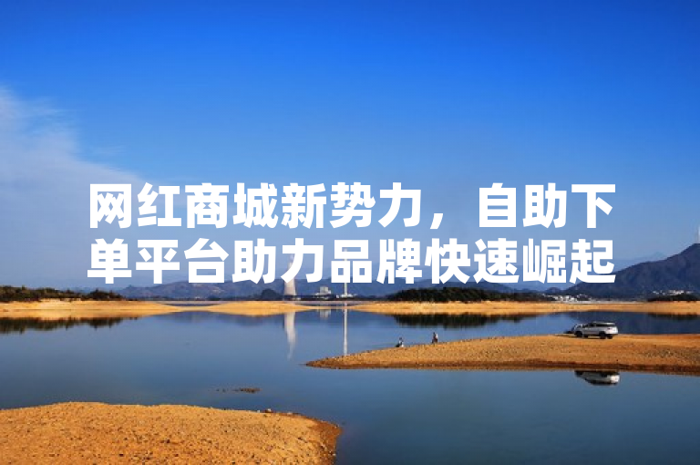 网红商城新势力，自助下单平台助力品牌快速崛起