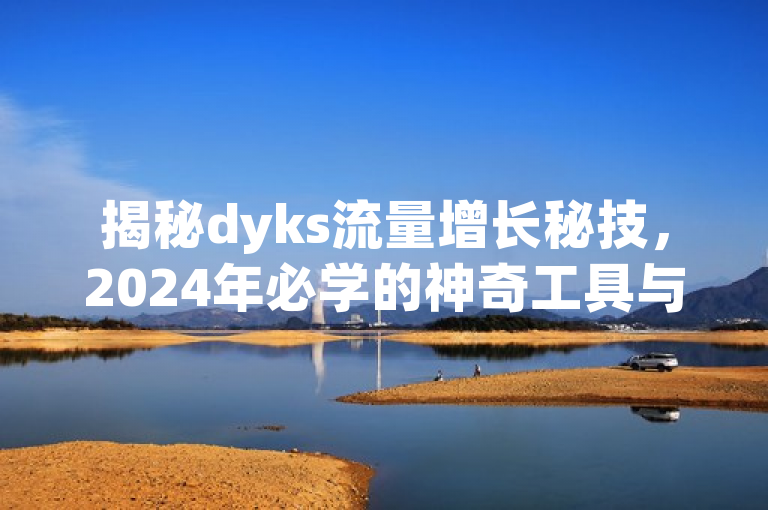 揭秘dyks流量增长秘技，2024年必学的神奇工具与策略