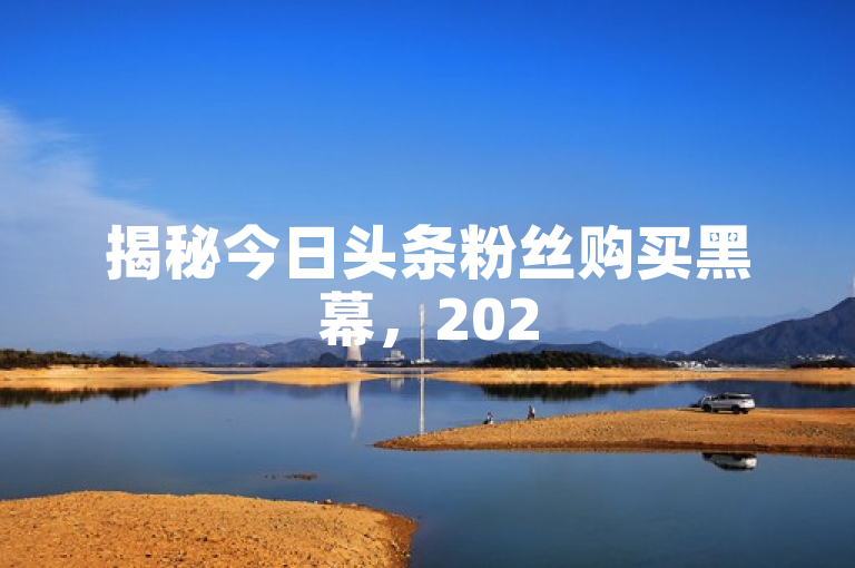 揭秘今日头条粉丝购买黑幕，2025必学的安全增粉策略