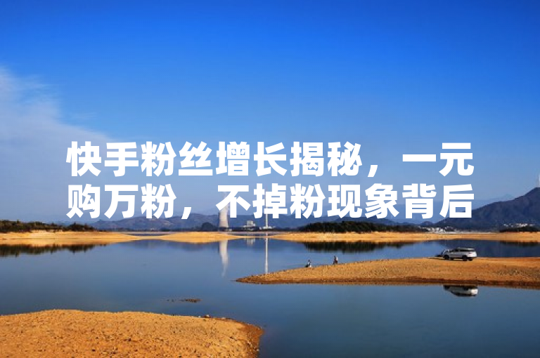 快手粉丝增长揭秘，一元购万粉，不掉粉现象背后的自助下单云商城