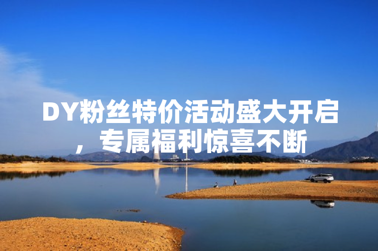 DY粉丝特价活动盛大开启，专属福利惊喜不断