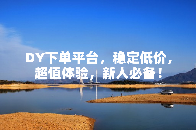 DY下单平台，稳定低价，超值体验，新人必备！