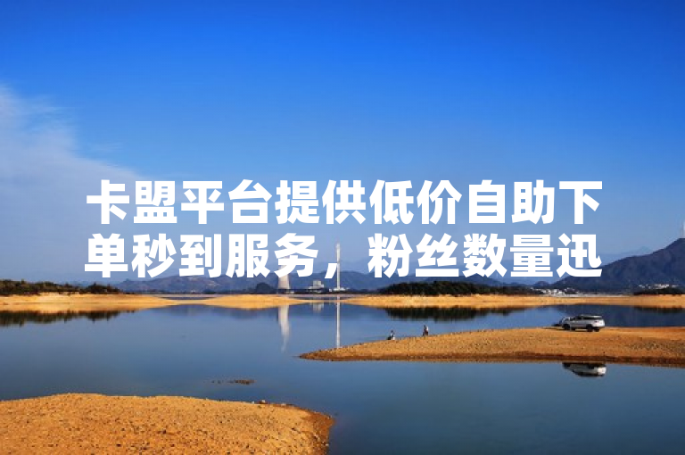 卡盟平台提供低价自助下单秒到服务，粉丝数量迅速增长引发关注。