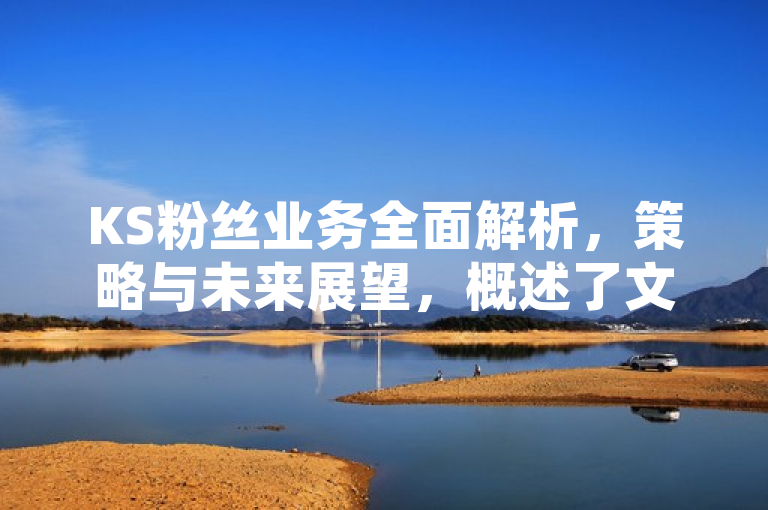 KS粉丝业务全面解析，策略与未来展望，概述了文章将对KS粉丝业务的运营进行全面分析，并探讨其发展策略及未来趋势。通过深入剖析，文章旨在为读者提供对这一领域的深刻理解和见解。