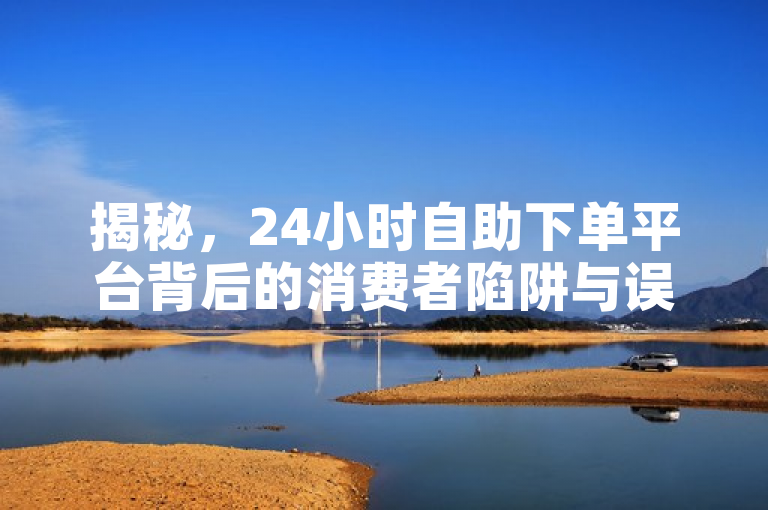 揭秘，24小时自助下单平台背后的消费者陷阱与误区讨论