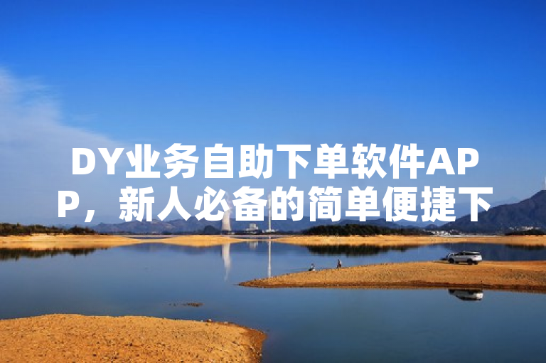 DY业务自助下单软件APP，新人必备的简单便捷下单工具！