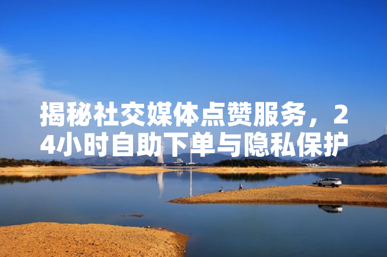 揭秘社交媒体点赞服务，24小时自助下单与隐私保护功能解析