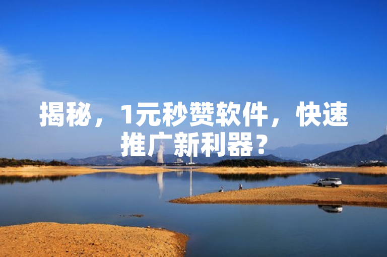揭秘，1元秒赞软件，快速推广新利器？