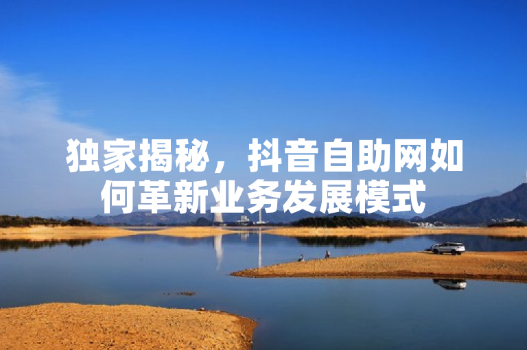 独家揭秘，抖音自助网如何革新业务发展模式