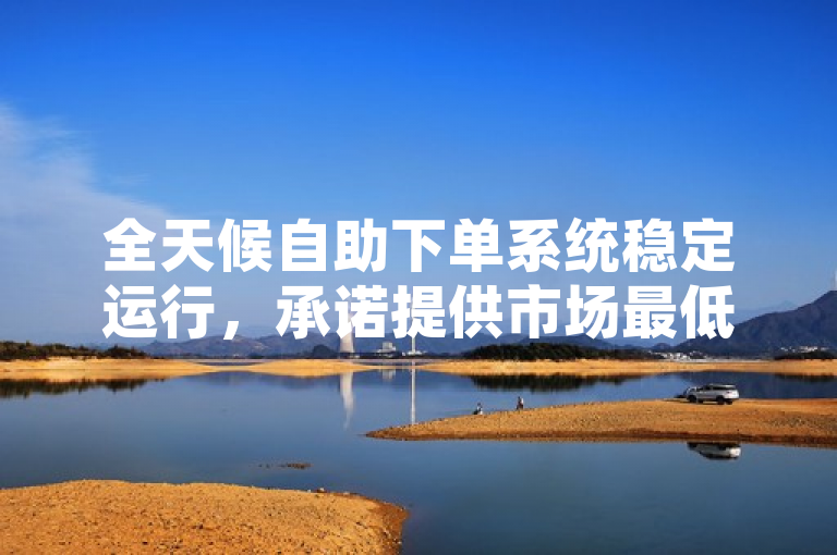 全天候自助下单系统稳定运行，承诺提供市场最低价服务