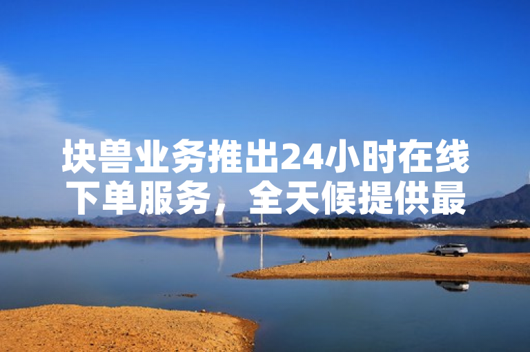 块兽业务推出24小时在线下单服务，全天候提供最便宜的商品选择。