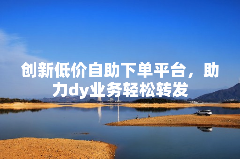 创新低价自助下单平台，助力dy业务轻松转发