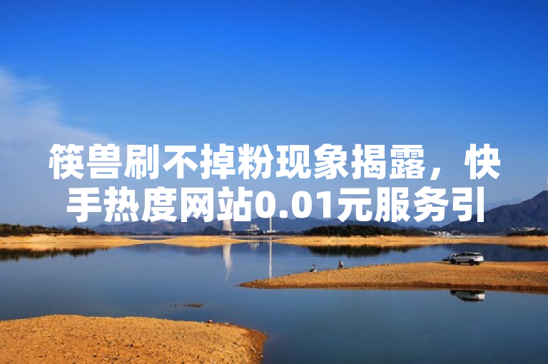筷兽刷不掉粉现象揭露，快手热度网站0.01元服务引发热议，小白龙马山公司成焦点