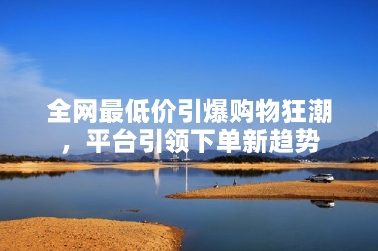 全网最低价引爆购物狂潮,平台引领下单新趋势