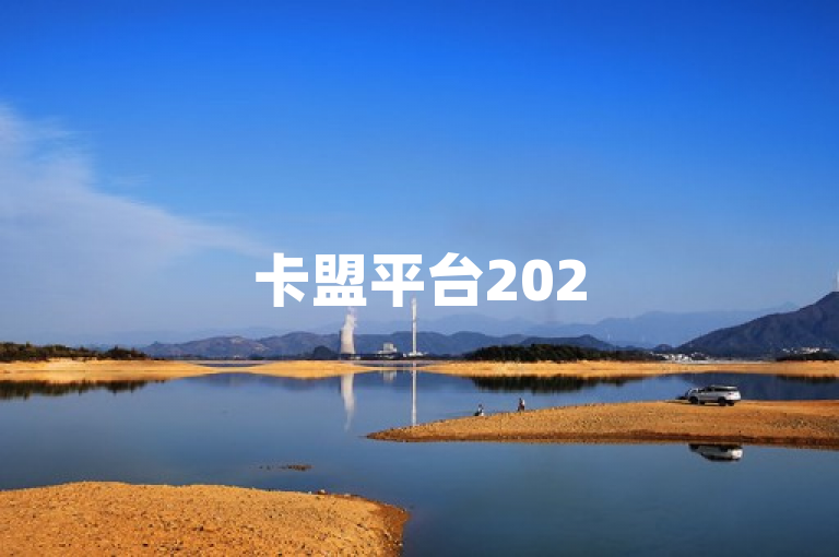 卡盟平台2025年新策略揭秘，自助低价下单，精选好货等你来挑！