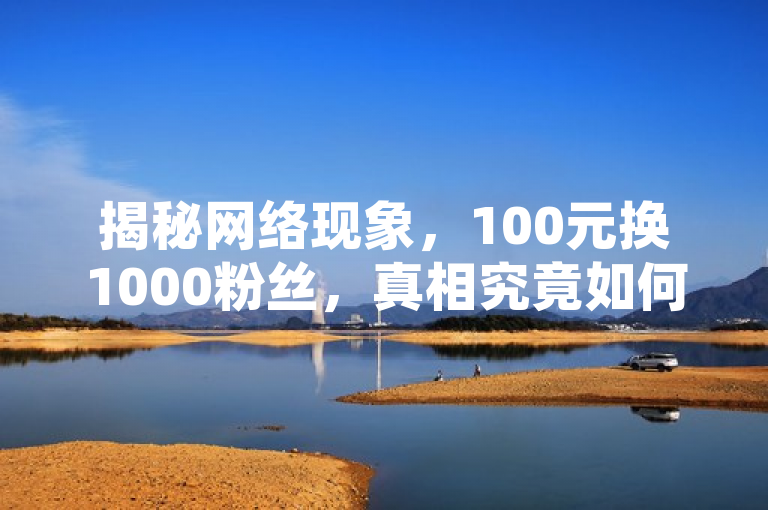 揭秘网络现象，100元换1000粉丝，真相究竟如何？