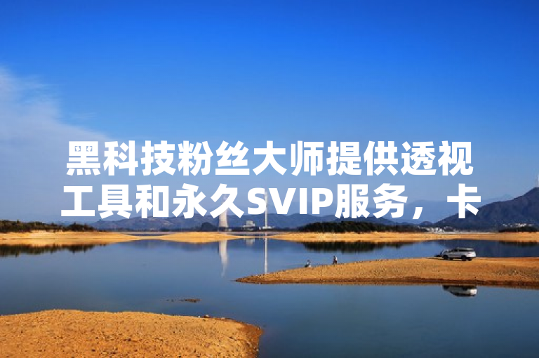 黑科技粉丝大师提供透视工具和永久SVIP服务，卡盟平台秒到账点赞业务。