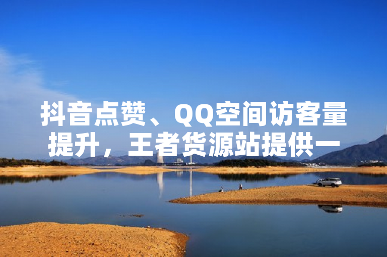 抖音点赞、QQ空间访客量提升，王者货源站提供一站式服务。