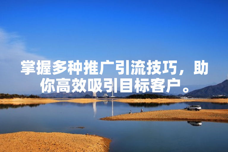 掌握多种推广引流技巧，助你高效吸引目标客户。