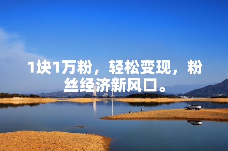 1块1万粉，轻松变现，粉丝经济新风口。