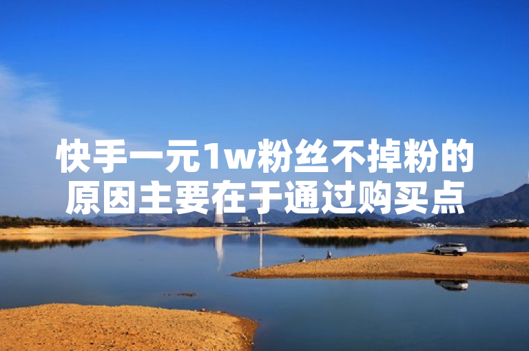快手一元1w粉丝不掉粉的原因主要在于通过购买点赞和评论服务，提高了视频的曝光率和用户互动，从而吸引了更多真实活跃的粉丝。