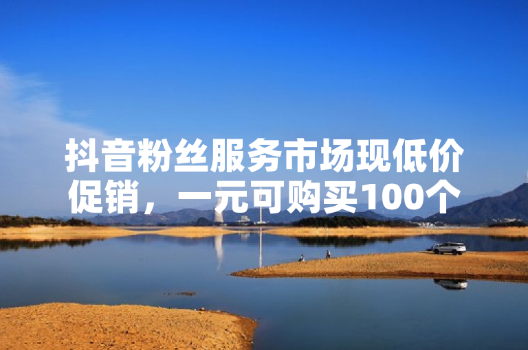 抖音粉丝服务市场现低价促销，一元可购买100个有效粉丝。