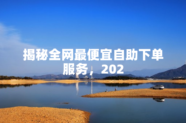 揭秘全网最便宜自助下单服务，2025年必学技巧！