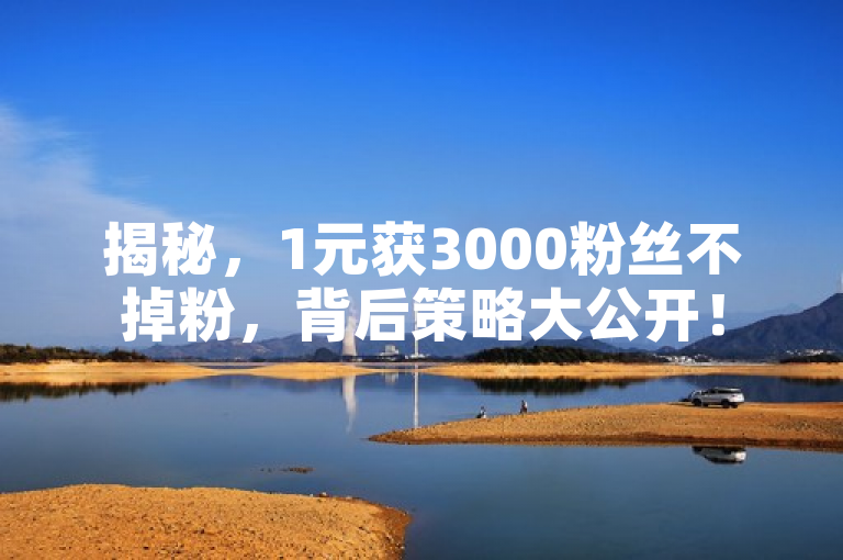 揭秘，1元获3000粉丝不掉粉，背后策略大公开！