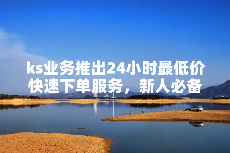 ks业务推出24小时最低价快速下单服务，新人必备！
