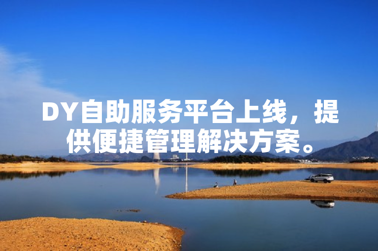 DY自助服务平台上线，提供便捷管理解决方案。