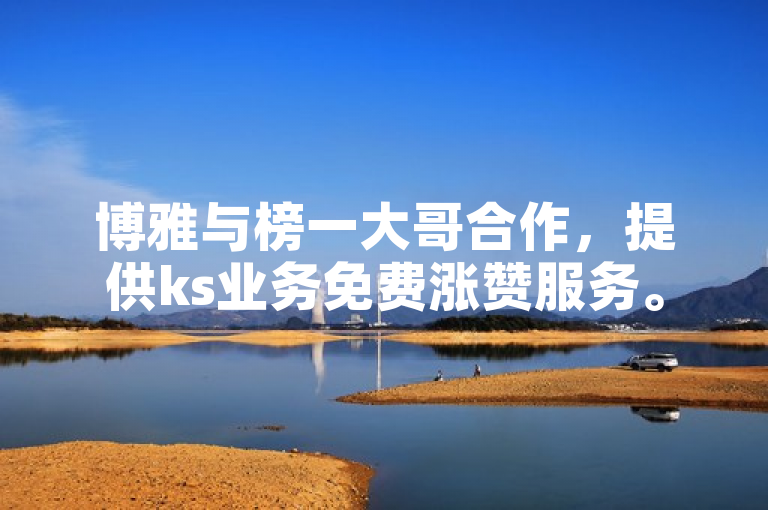 博雅与榜一大哥合作，提供ks业务免费涨赞服务。