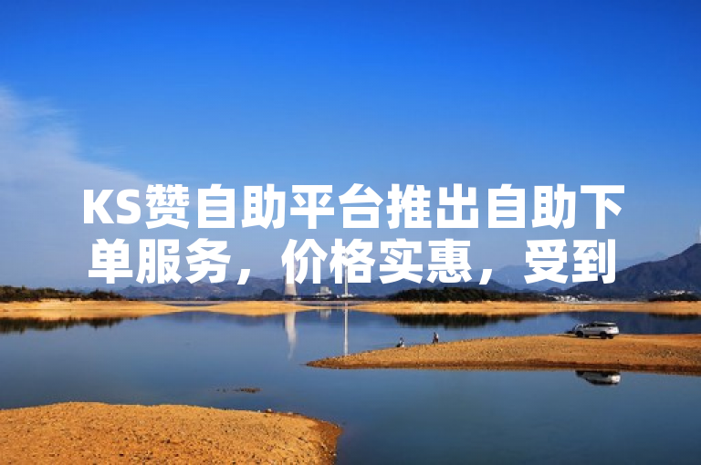 KS赞自助平台推出自助下单服务，价格实惠，受到用户好评。