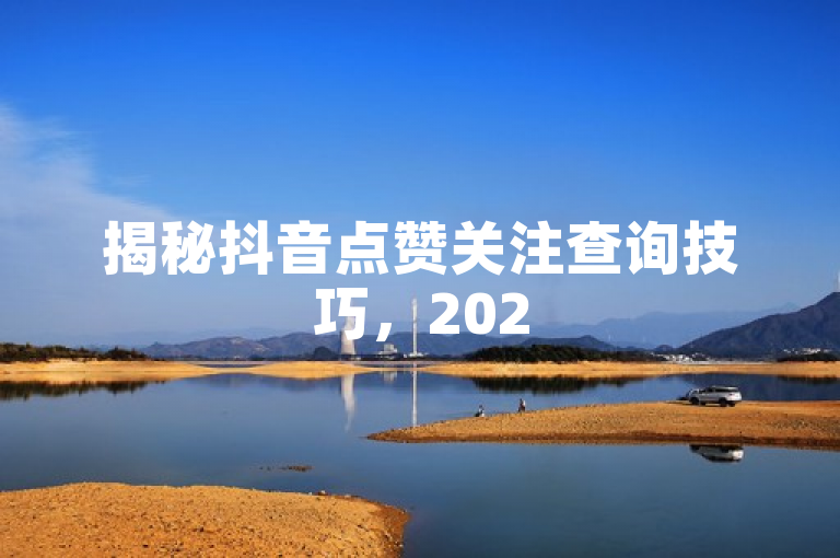 揭秘抖音点赞关注查询技巧,2025年必学新技能!
