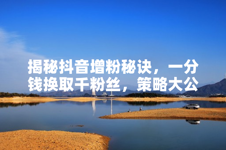 揭秘抖音增粉秘诀，一分钱换取千粉丝，策略大公开！