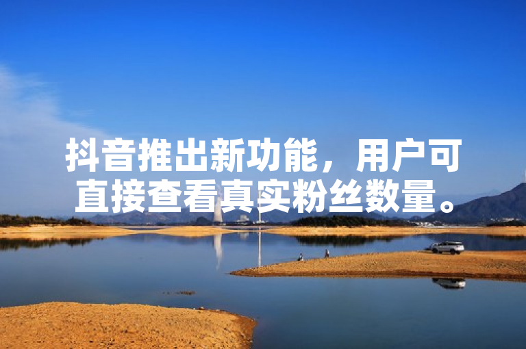 抖音推出新功能，用户可直接查看真实粉丝数量。
