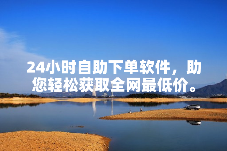 24小时自助下单软件，助您轻松获取全网最低价。