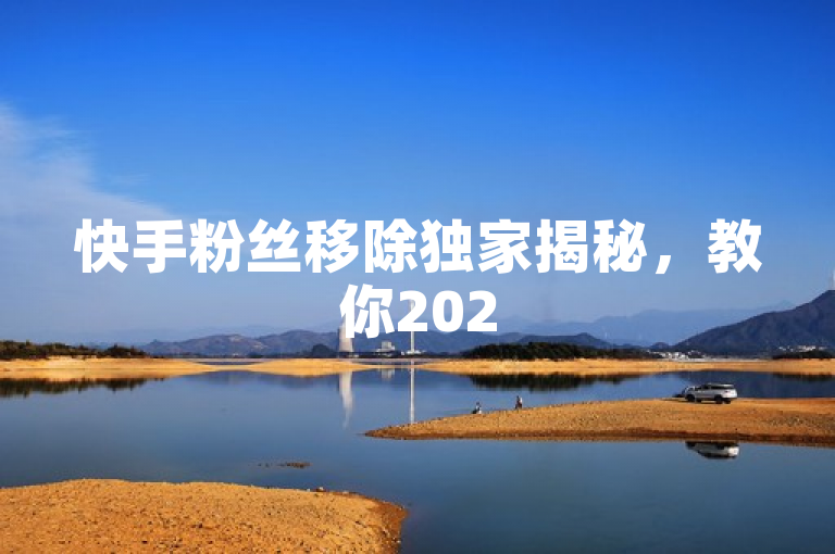 快手粉丝移除独家揭秘，教你2025必学的移除方法！
