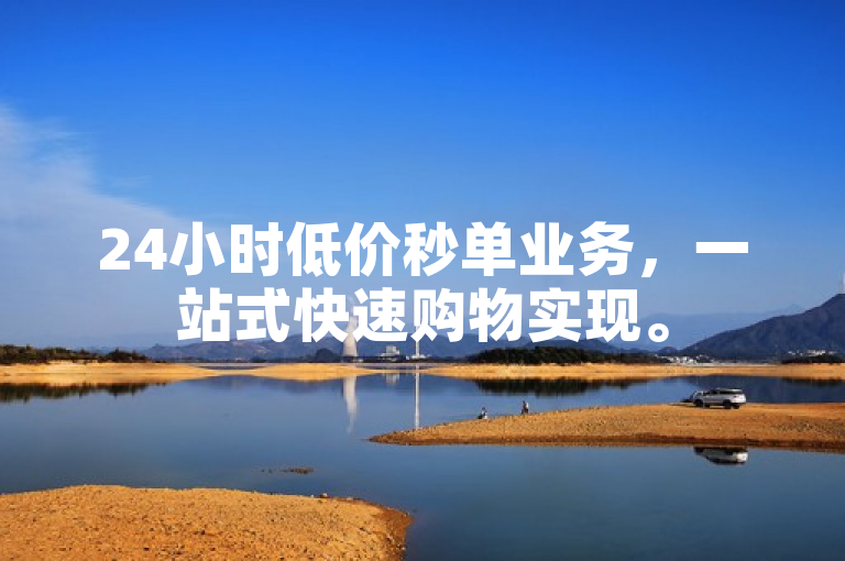 24小时低价秒单业务，一站式快速购物实现。