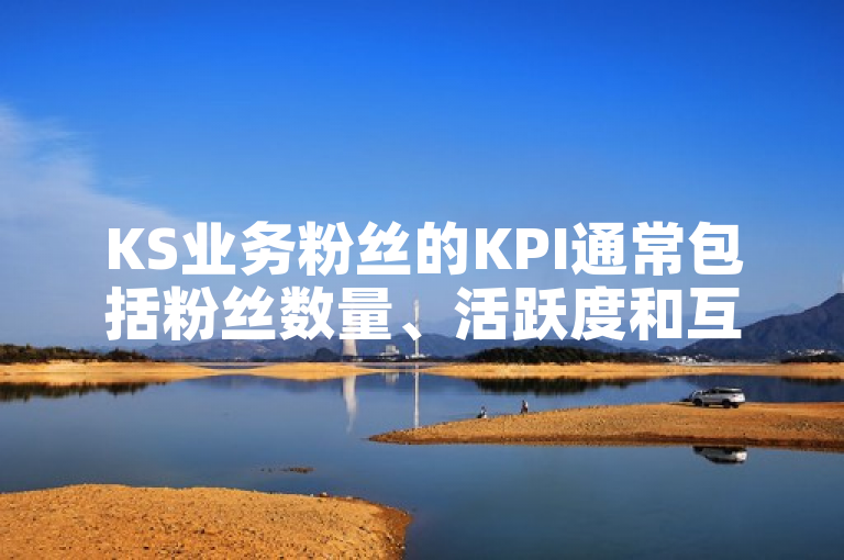 KS业务粉丝的KPI通常包括粉丝数量、活跃度和互动率等指标。