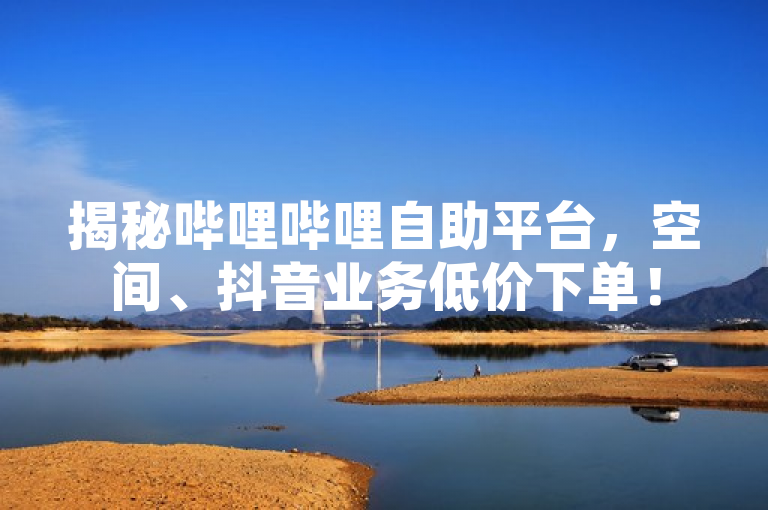 揭秘哔哩哔哩自助平台，空间、抖音业务低价下单！